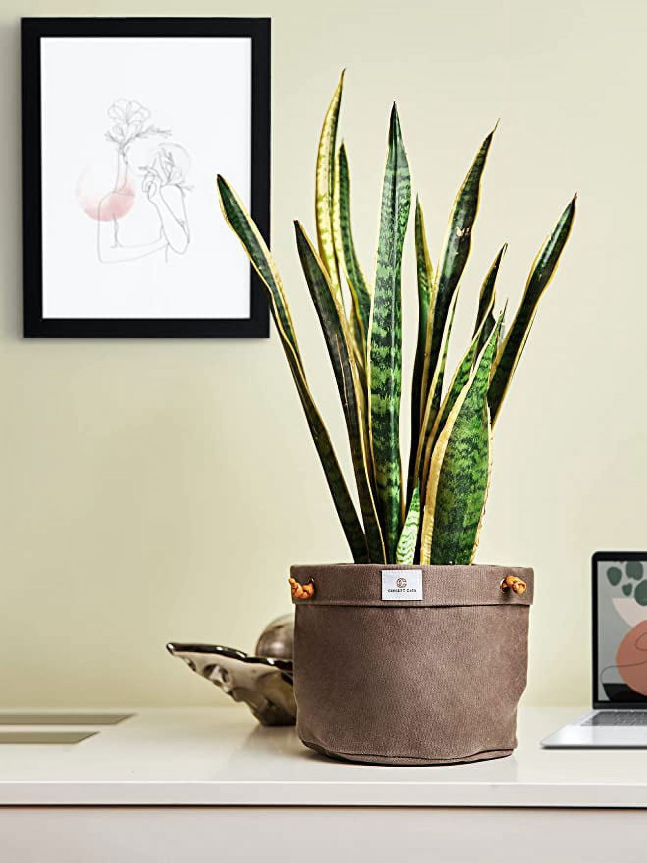 Concept Casa Large 8" Solid Print Hanging Planter with Handmade Waxed Canvas (Charcoal Gray)