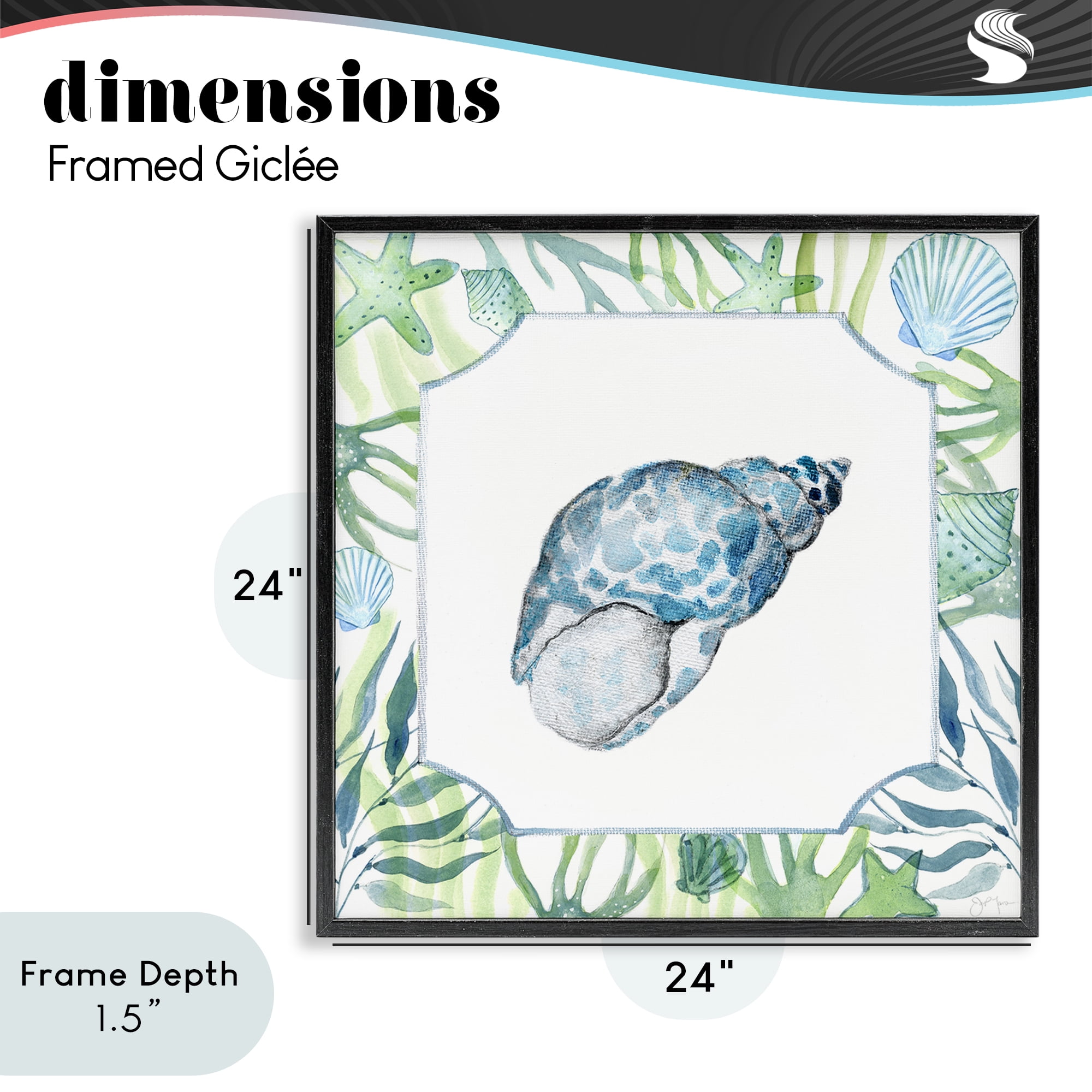 Stupell Industries Spotted Cowrie with Seaweed Black Framed Giclee Art, design by Janet Tava