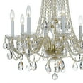 thumbnail image 5 of Traditional Crystal 8 Light Spectra Crystal Polished Brass Chandelier, 5 of 11