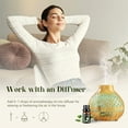 thumbnail image 3 of Aeshory Essential Oils Set - 32x5ml Pure Aromatherapy Essential Oils Kit for Diffuser, Aromatherapy, Massage, Skin Care, 3 of 7