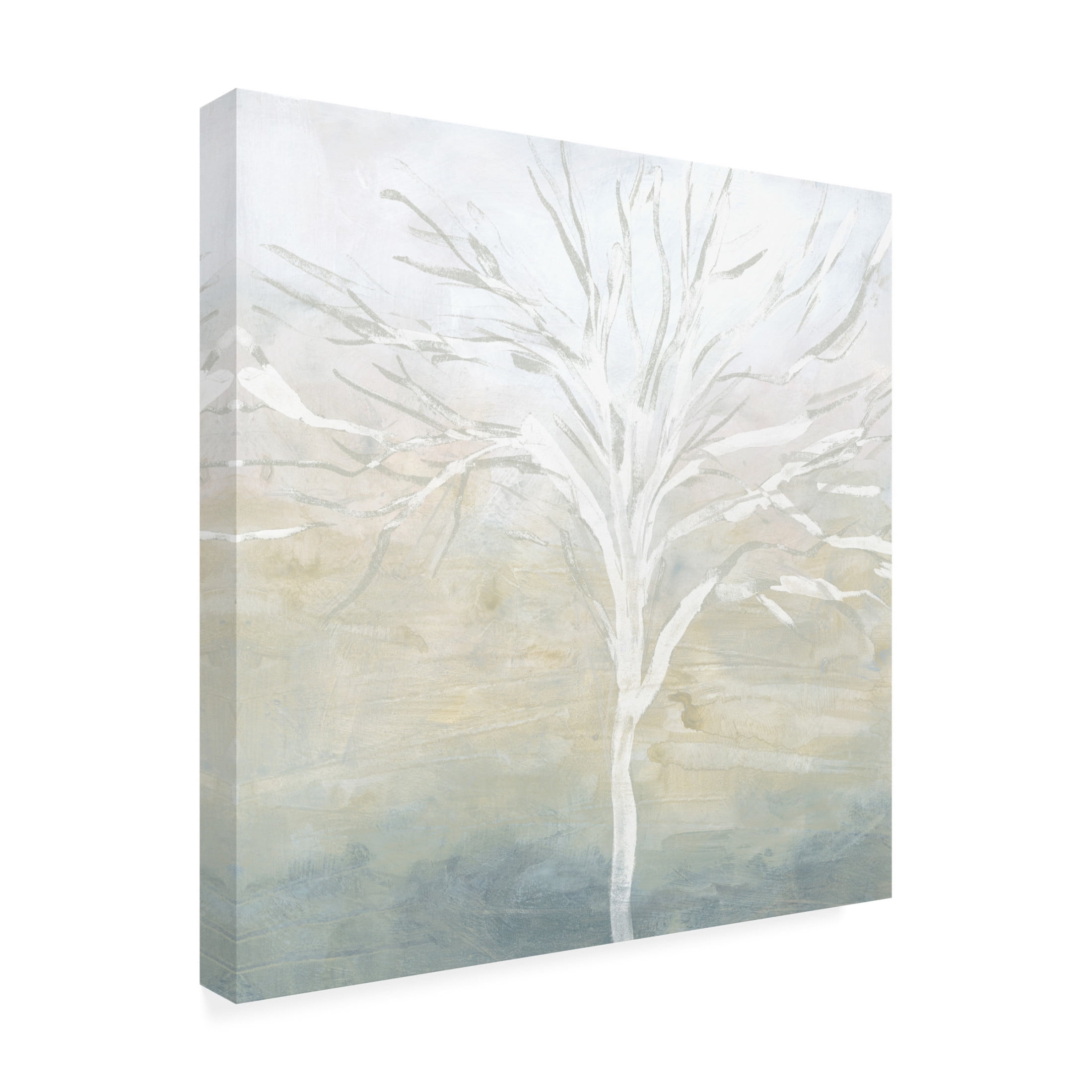 Trademark Fine Art June Erica Vess  Ghost Tree I Canvas Wall Art