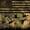 Green 03, variant on Manfei Mallard Duck Kitchen Curtains,Rustic Farmhouse Black Out Curtains Pack of 2 (42x63 Each),Pixeled Camouflage Decor