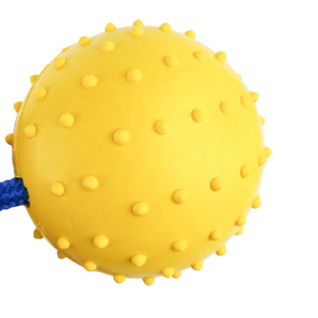 Methold Pelota de entrenamiento para masticar mascotas de goma interactiva no tóxica, limpieza de dientes, juguete de cuerda para jugar a Suministros para perros