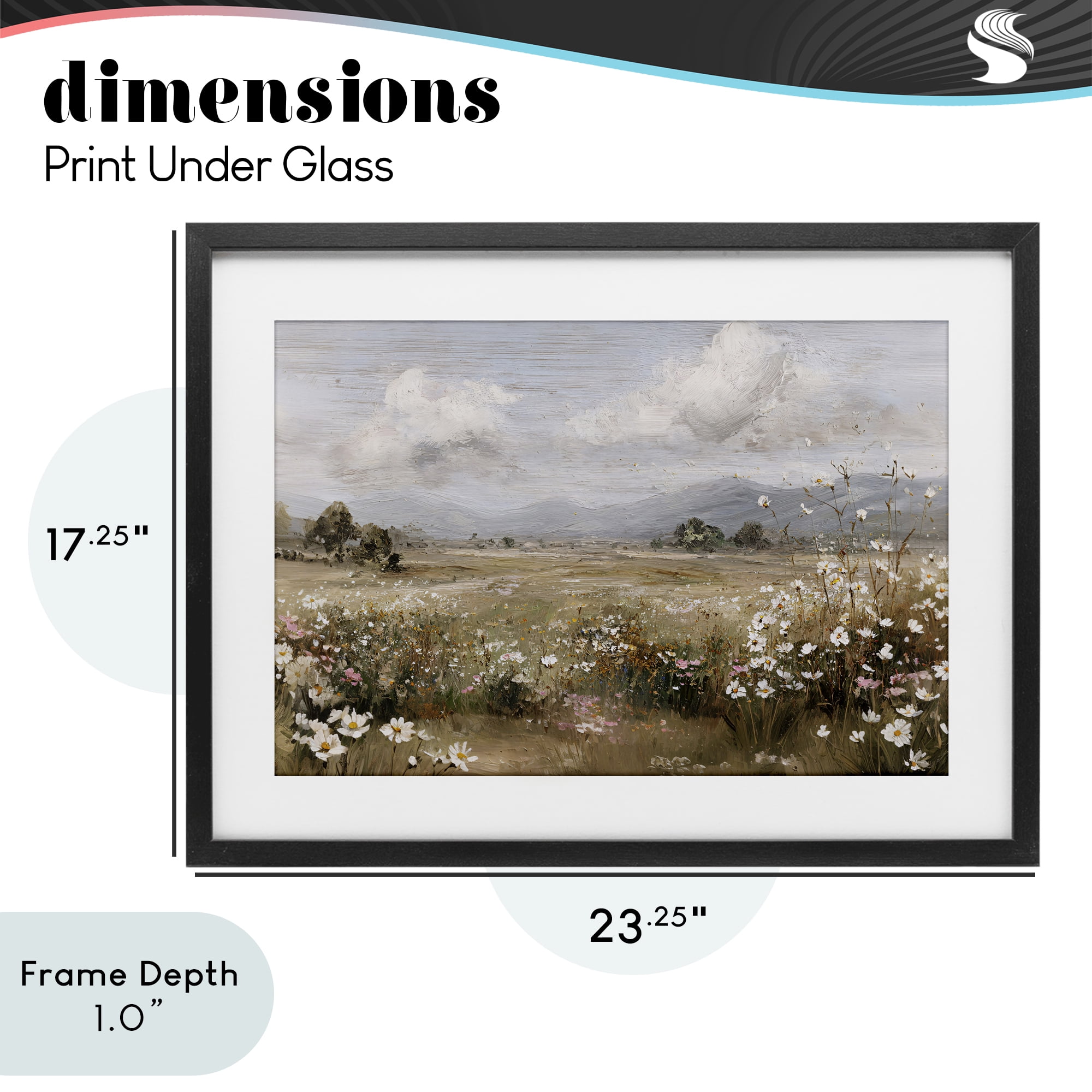 Stupell Industries Daisy Clusters in Field Black Framed Print Under Glass, design by Jacky Ngan