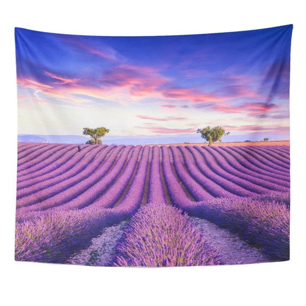 Zealgned Lavender Field Summer Sunset Landscape With Two Tree Near Valensole Provence Wall Art Hanging Tapestry Home Decor For Living Room Bedroom Dorm 51x60 Inch Walmart Com Walmart Com