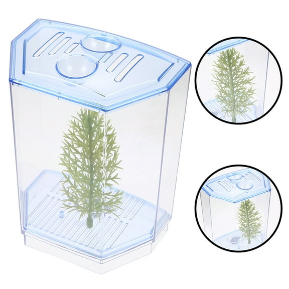 ifundom Transparent Desktop Aquarium Tank for Small Fish and Hydroponic Plants, Compact with Clear Viewing