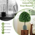thumbnail image 6 of Gymax 2PCS 28'' Artificial Boxwood Topiary Ball Tree Set w/Ground Spike Sun-Protective, 6 of 10