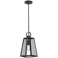 thumbnail image 1 of Beaumont Lane Medium Mesh Pendant in Black, 1 of 4