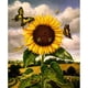 thumbnail image 2 of Cuadros Decorativos DIY completo taladro redondo diamante resina 5D mosaico girasol mariposa pintura Kit Tmvgtek embutido en tela, 2 of 9