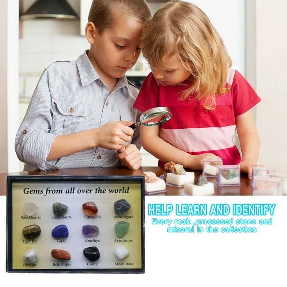 Bzoosio 12 Kinds Of Mixed Natural Specimens Early Education Collection Gift Box