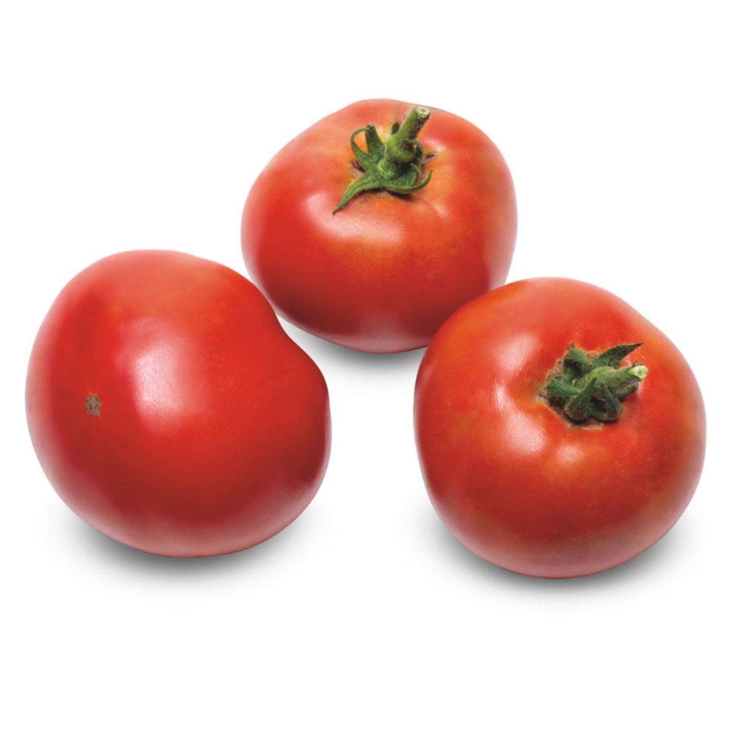 Proven Winners 4" Tempting Tomatoes Garden Treasure Slicing Tomato Live Plant in 4.25" Pot (4 Count)