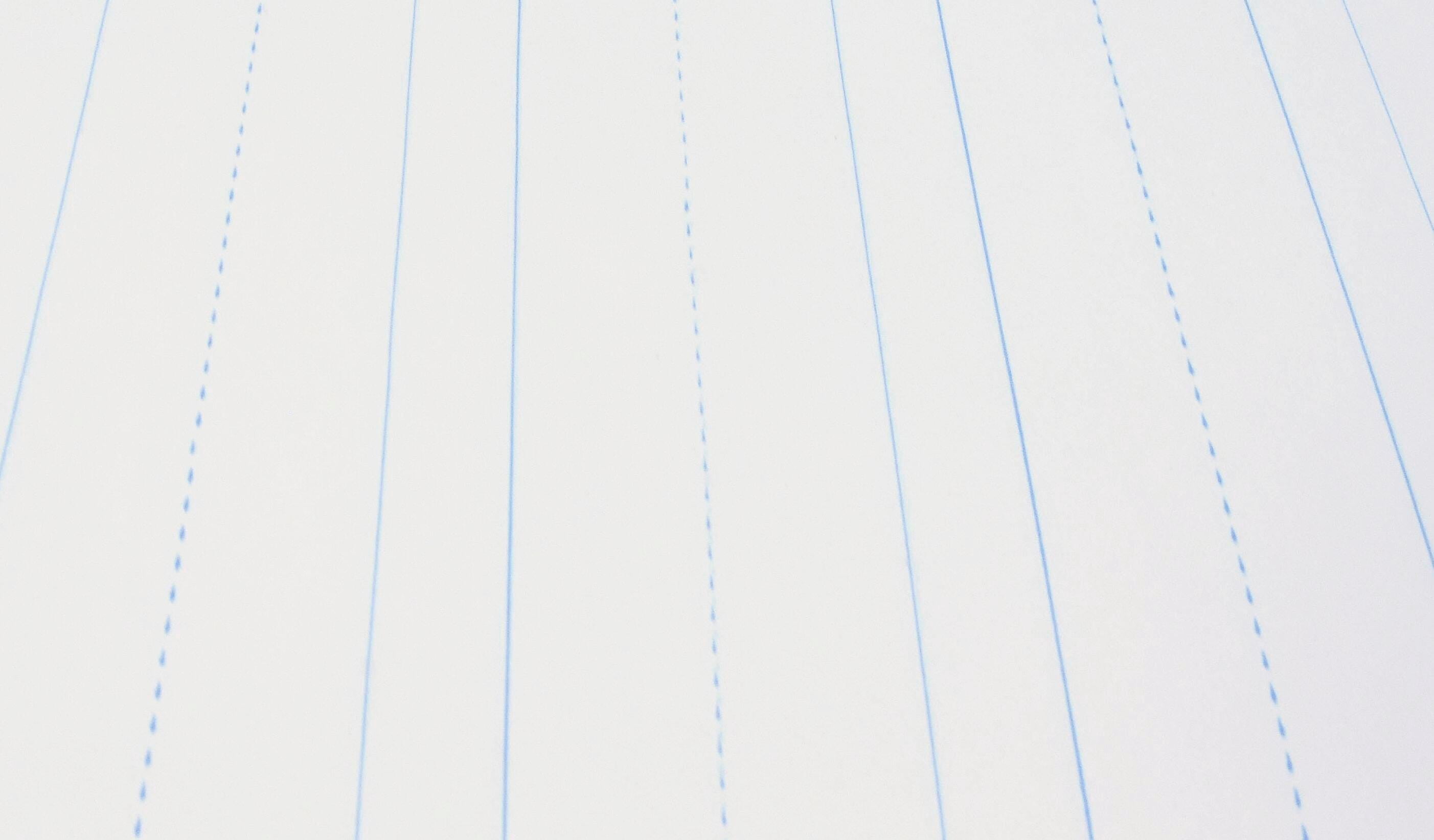 American Paper Converters 1285051 Sax 2-Hole Punch Chart Paper, 16 lbs, 24 x 32 in. , White - Pack of 100