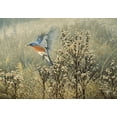 thumbnail image 2 of Goebel, Wilhelm 24x18 Black Ornate Wood Framed with Double Matting Museum Art Print Titled - October Meadow, 2 of 4