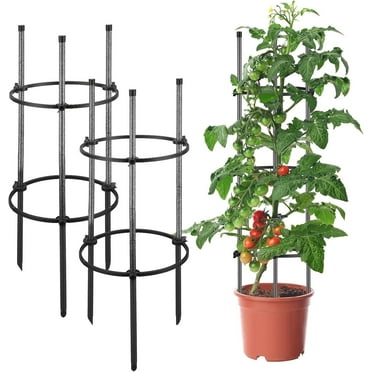 IHOMEPARK Tomato Cage 31" for Climbing Plants, Garden Trellis Plant Support Cages with 2 Adjustable Steel Rings，2Pcs
