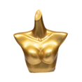 thumbnail image 1 of Almencla Female Mannequin Torso Underwear Display Stand for Retail Stores Shows Malls Lingerie Rack, 1 of 8