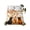 Beige, variant on Twin Flat Sheet 66"x96", Fall Dog Soft Lightweight Bedding Flat Sheets Only, Thanksgiving Autumn Harvest Pumpkin Leaf Orange Brushed Microfiber Top Bed Sheet, Breathable StainResistant Bedsheets