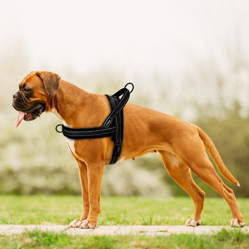 Beirui No Pull Nylon Dog Harness Reflective Soft Comfortable Walking Strap Vest for Small Medium Large Dogs Adjustable