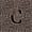 Monogrammed C, variant on meiyoeat Leopard Print Bow Letter S Twin Comforter Sets, Women Teens, Brown Animal Print Bedding Set, Black Reversible 2 Pieces, 1 Comforter and 1 Pillowcase