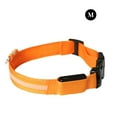 thumbnail image 1 of USB Rechargeable Collier Lumineux pour Animaux de Compagnie Collier Lumineux pour Animaux de Compagnie Collier Lumineux pour Animaux de Compagnie avec Sangle, Orange, M, 1 of 7