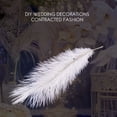 thumbnail image 5 of 10 Pieces White Natural Ostrich 20-25cm Wedding DIY,1 Bag of Ostrich Feather(10 pc),White, 5 of 5
