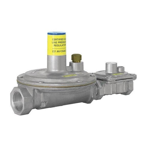 Gas Pressure Regulator, Natural Gas, -40 Degrees  to 205 Degrees F