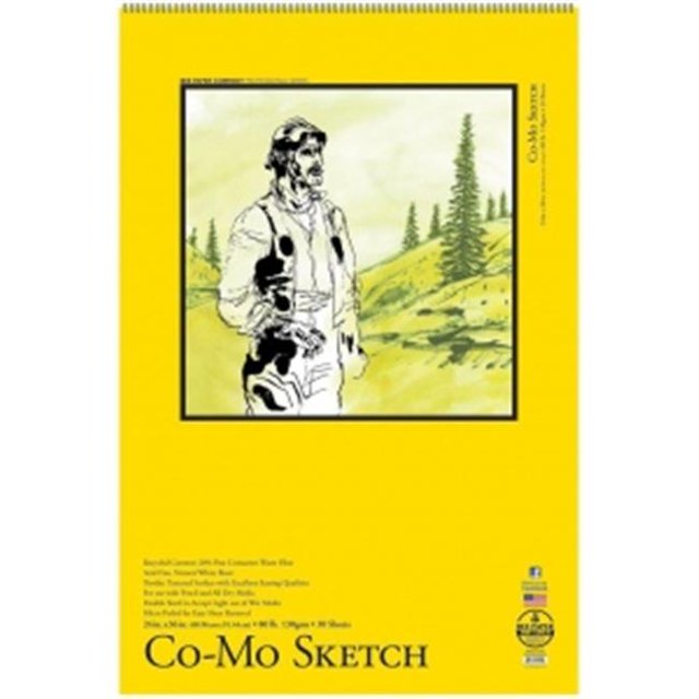 Bee Paper B820S30-2436 24 x 36 Po. Co - Mo Sketch Pad