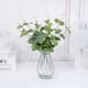 thumbnail image 1 of 20 Piezas Plantas Falsas Hojas de Eucalipto de Seda Decoraciones Artesanales para el Hogar Jardín Boda Álbum de Recortes Flores Artificiales, 1 of 5
