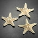 thumbnail image 3 of 12 estrellas de mar anudadas de 5 a 7 cm, decoración artesanal para exhibición de bodas en la playa, 3 of 4