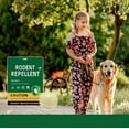 thumbnail image 4 of Paddsun Rodent Repellent Balls, 10 Count for Squirrels, Mice, Rodents Soundwave Weather-Resistant for Indoor Outdoor Use in Patio, 4 of 7