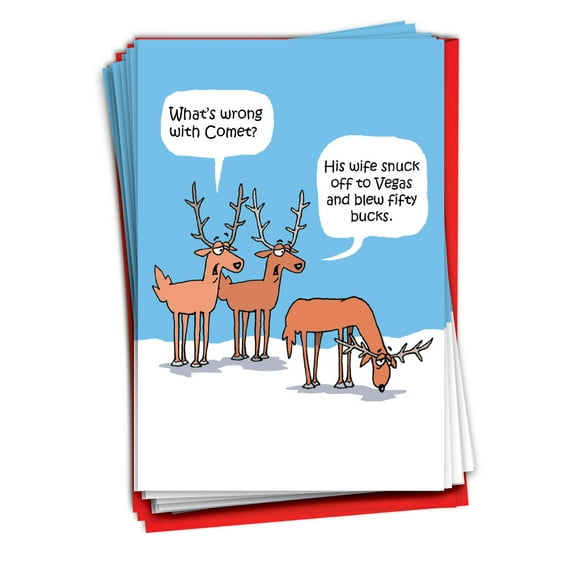NobleWorks, Comet's Problem - 36 Funny Christmas Cards Boxed - Bulk Set, C2497XSG-B36x1