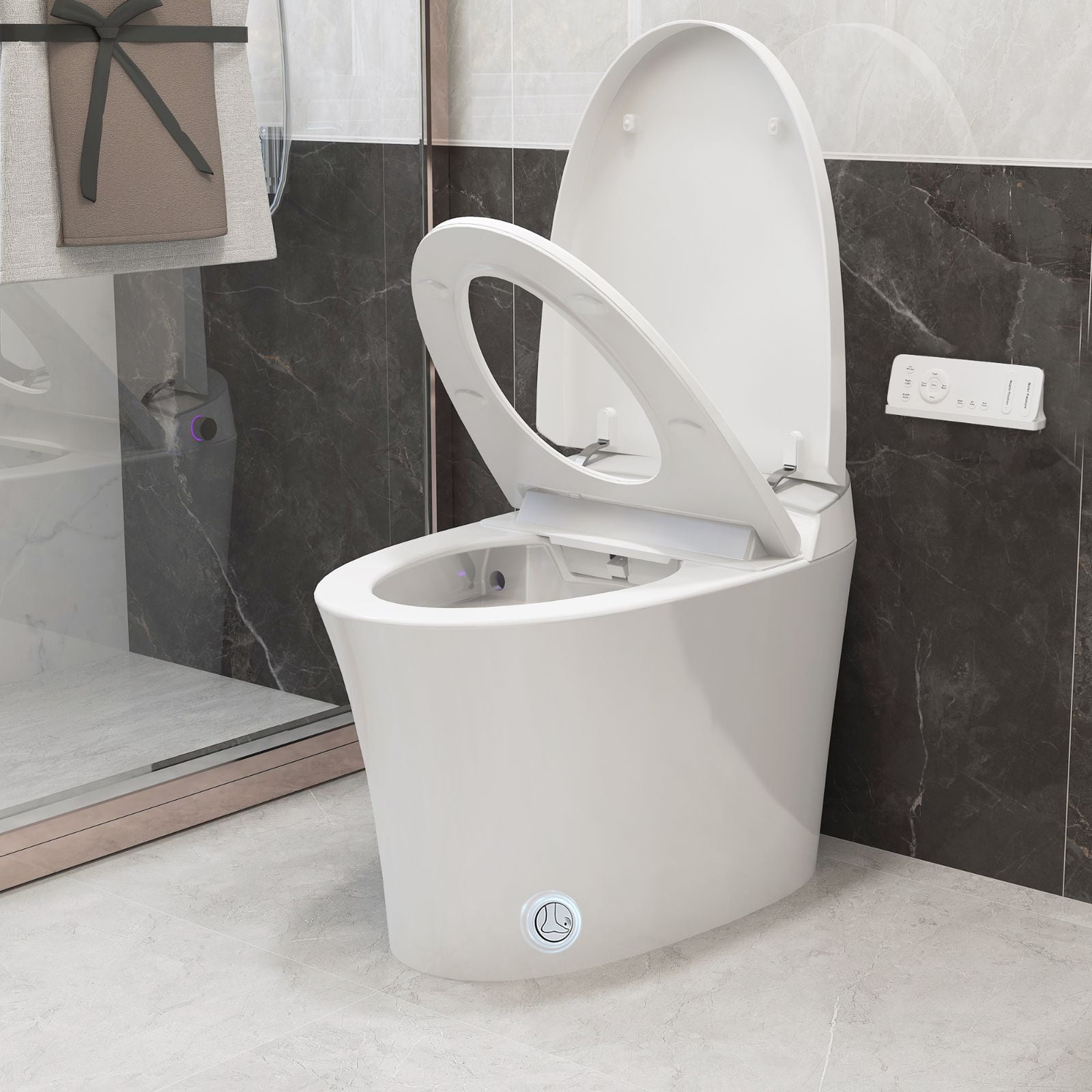 Bidet Toilets