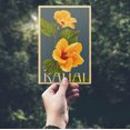 thumbnail image 2 of Kauai, Hawaii, Yellow Hibiscus, Letterpress (4x6 Birch Wood Postcards, 2-Pack Stationary, Rustic Home Wall Decor), 2 of 5