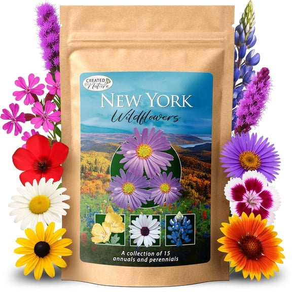 New York Wildflower Seed Mix, 15 Flower Variety, 50,000 Seeds - Created By Nature