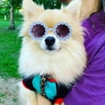 Pet Travel Accessories 2024 Pet Sunglasses Flower Sunglasses Circular