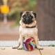 thumbnail image 2 of BRIGHTFUFU 2 unids PET PET PERRO SNIFF TOY PUPPY PETHING PET PER PERRO DOG MASCKING TOJO BOLAS DE ALIMENTADOR LENTO, 2 of 8