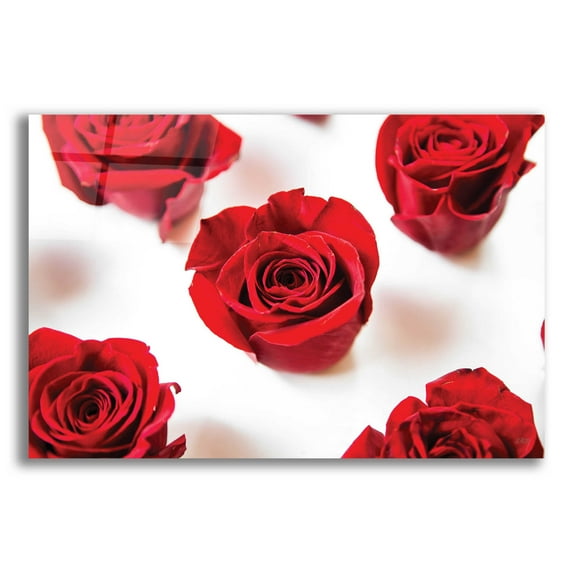 Epic Art 'Red Roses I' by Donnie Quillen, Acrylic Glass Wall Art, 24"x16"