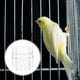 thumbnail image 5 of 3 comederos antisalpicaduras de acrílico de base plana, con soporte creativo, para decoración de barra, para pájaros, loros y jaulas (transparentes)., 5 of 6