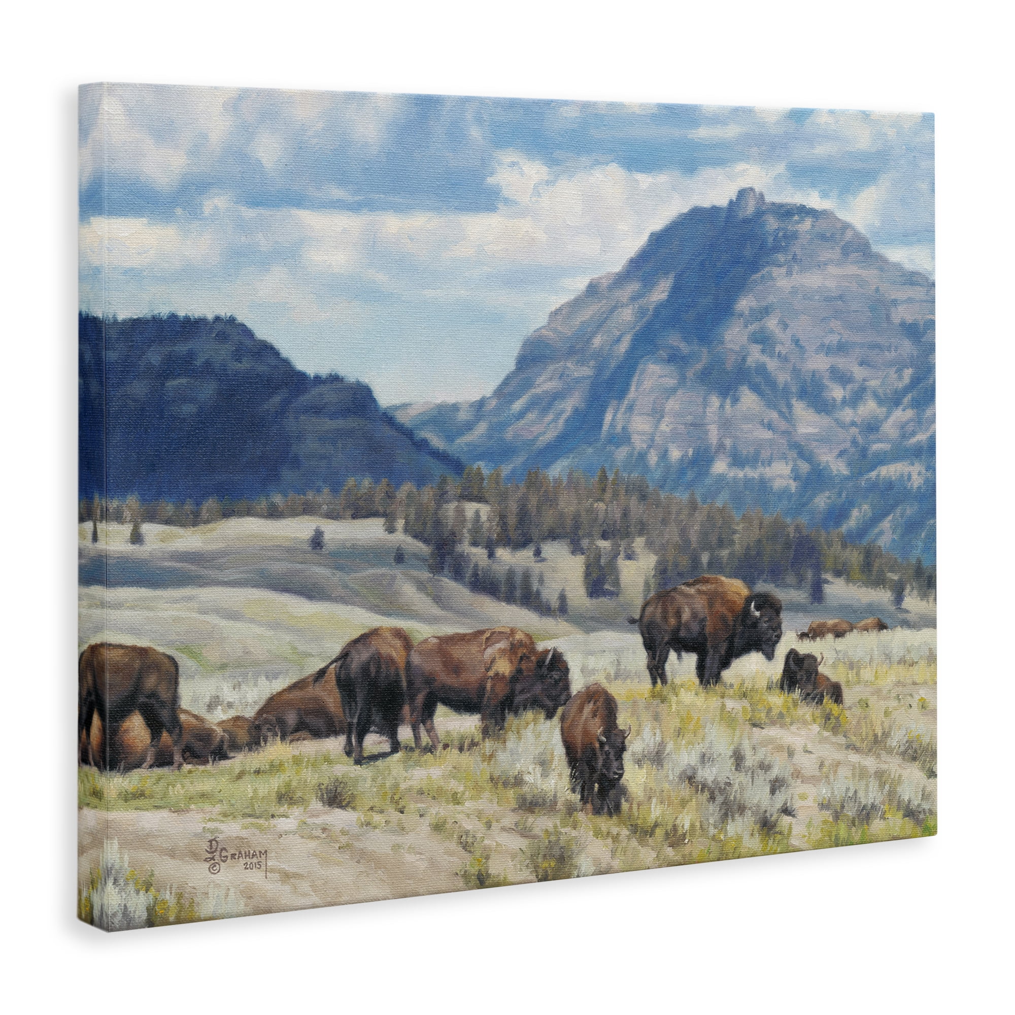 Stupell Industries Sunny Afternoon Bison Landscape Painting Gallery Wrapped Canvas Art Print Wall Art, 48 x 36