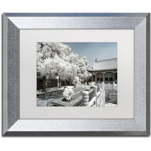 Trademark Fine Art "Reflection" Canvas Art by Philippe Hugonnard, White Matte, Silver Frame