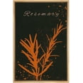 thumbnail image 4 of IDEA4WALL Framed Canvas Print Wall Art Orange & Black Rosemary Duo Silhouette and Paint Specks Floral Plants Illustrations Minimalism Wall Decor for Living Room, Bedroom, Office - 16"x24" Natural, 4 of 5