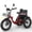 Red, variant on S Electric Tricycle for Adults, 750W(Peak 1350W) Motor, 48V13Ah Battery, 20"x4" Folding Fat Tire 3-Wheel Electric Trike, 20MPH, Hydraulic Brakes, Rear Basket & Differential, UL2849