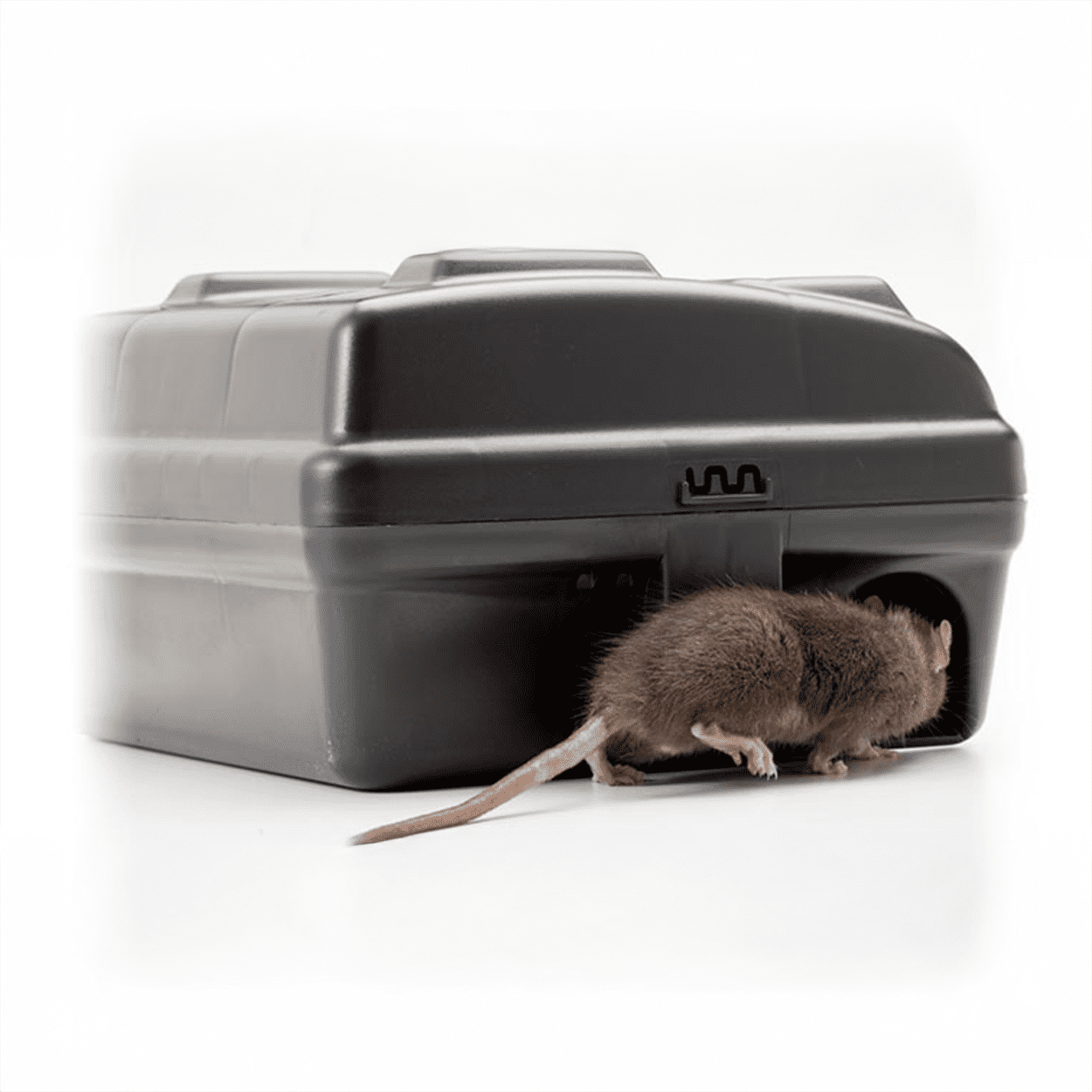 Two Protecta EVO Express Bait Stations with Weighted Bases - Bait & Trap Mice or Rats - Two Bait Stations by Bell Laboratories