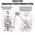 thumbnail image 2 of Captain O-Ring  Replacement 192320 Bulkhead O-Ring for Pentair Clean Clear Plus FNS Nautilus, 2 of 6