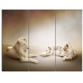 thumbnail image 1 of Design Art - White Lion Family, 1 of 4