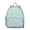 Cute Shiba Inu, variant on Cute Cartoon Pug Backpack Backpack for School,Cute School Bag,Schoolbag with Adjustable Shoulder Straps & Padded Back,13.8"x11.4"x6"