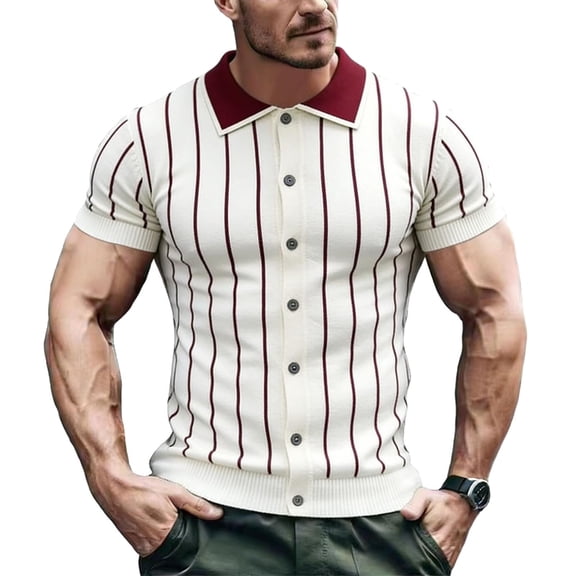 Maean Mens Striped Short Sleeve Top Sweaters Collared Fashion Dressy Knit Shirts for Work Business Blouses