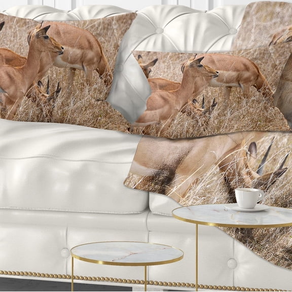 Designart Grants Gazelles Grazing in Grassland - Animal Throw Pillow - 12x20