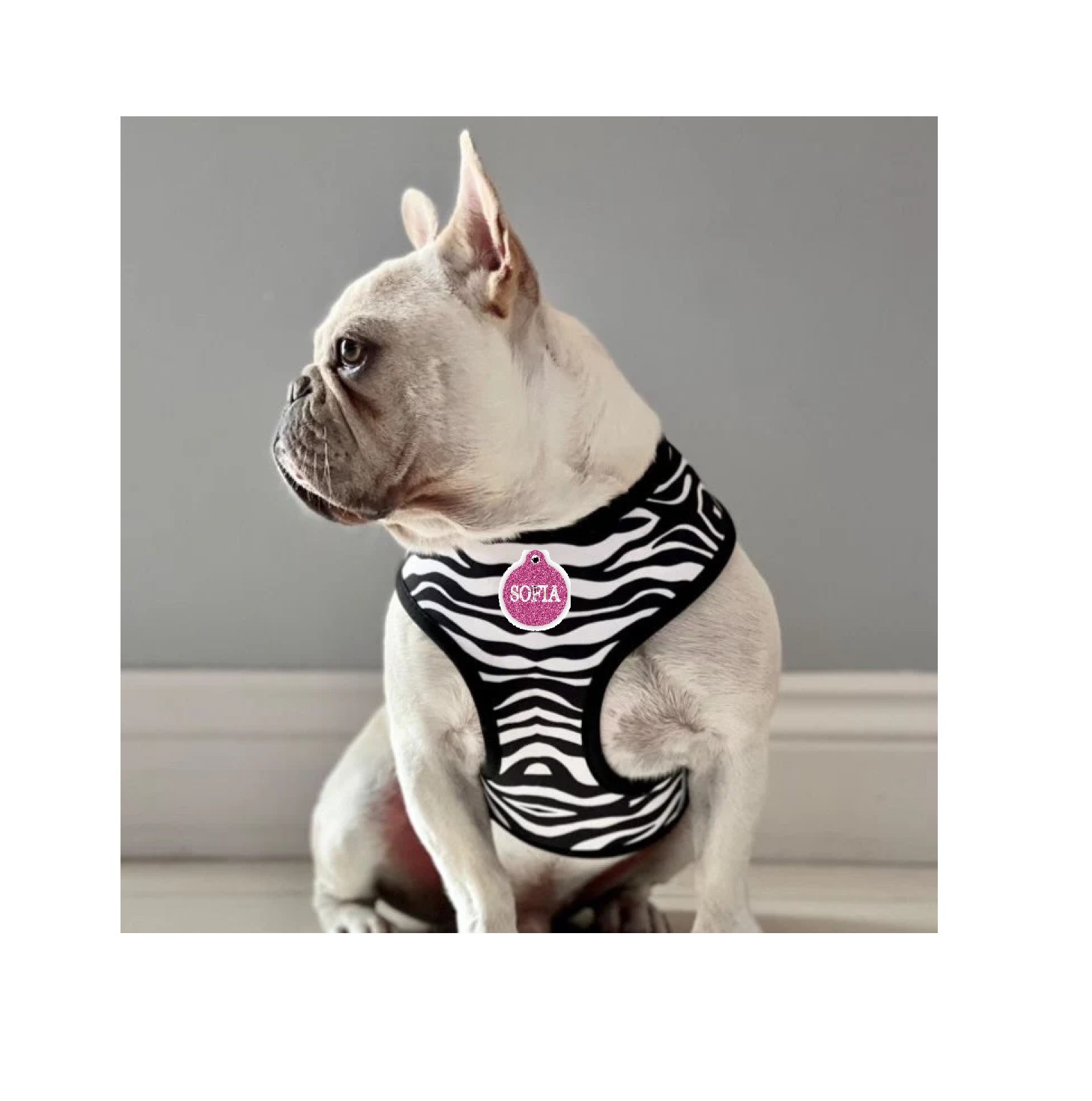 Small Breed Dog Harness Cheetah or Zebra Plush Adjustable Chest Strap and D Ring (Zebra - Medium)
