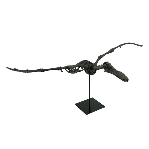 Zeckos Museum Mounted Pterosaur Flying Dinosaur Fossil Replica Statue