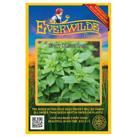 Everwilde Farms - 2000 Spicy Globe Basil Herb Seeds - Gold Vault Jumbo Bulk Seed Packet